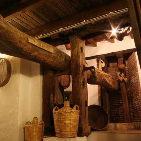 Cicerones-rurales-agroturismo-en-malaga-enoturismo-ruta-de-la-pasa-Moclinejo-antigua-pisa