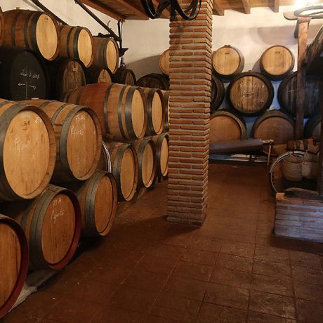 Cicerones-rurales-agroturismo-en-malaga-enoturismo-ruta-de-la-pasa-Moclinejo-bodega