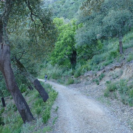 Cicerones-rurales-El-Bosque-dentro-y-fuera-1
