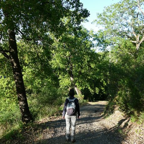 Cicerones-rurales-El-Bosque-dentro-y-fuera-6